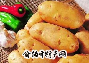 蒲县土豆