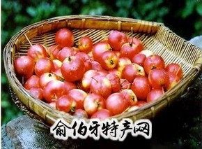 滁州花红